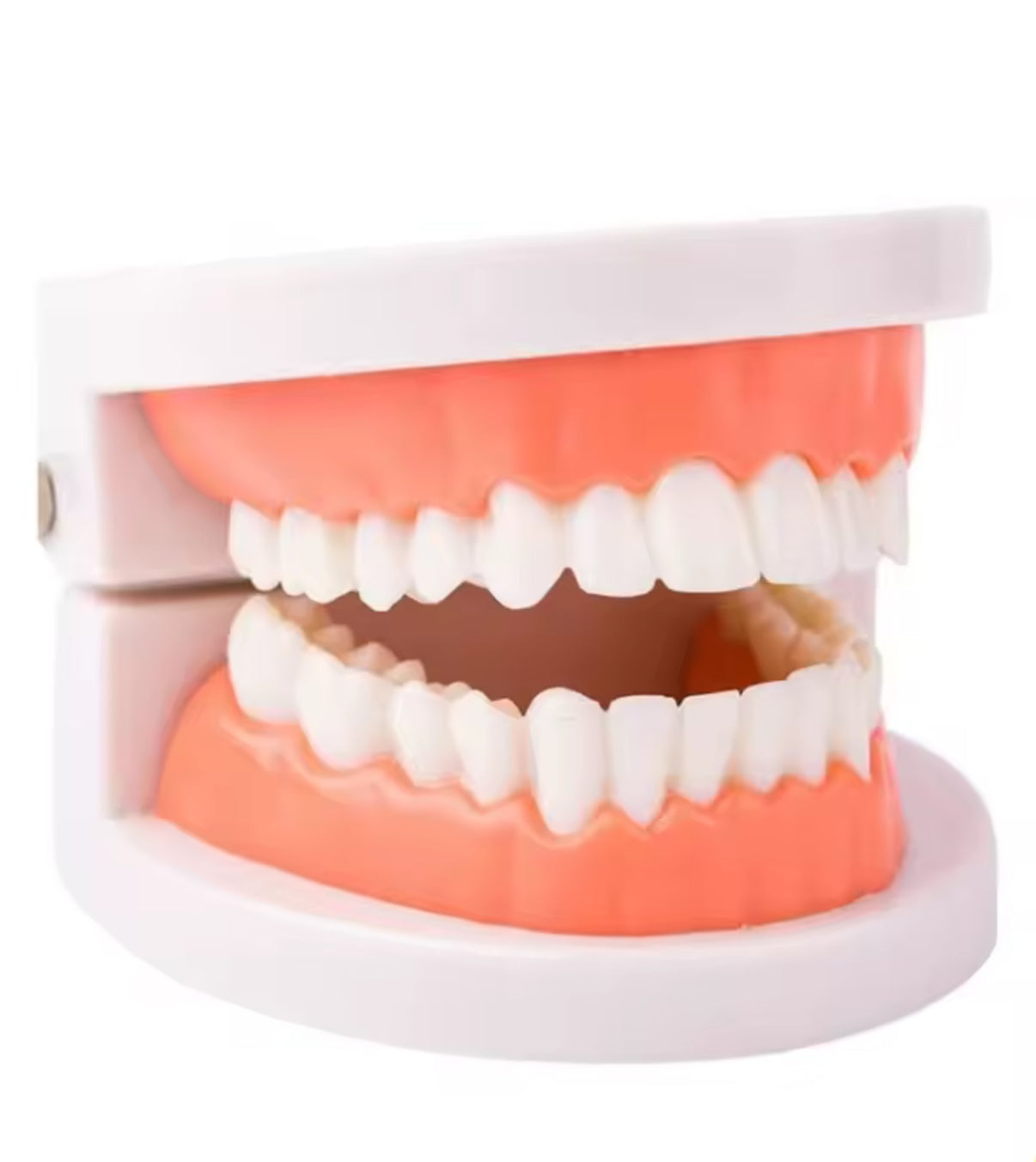 Dentadura de práctica